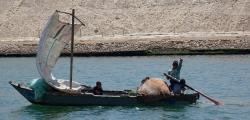 Kids at the helm in Suez fishing boat